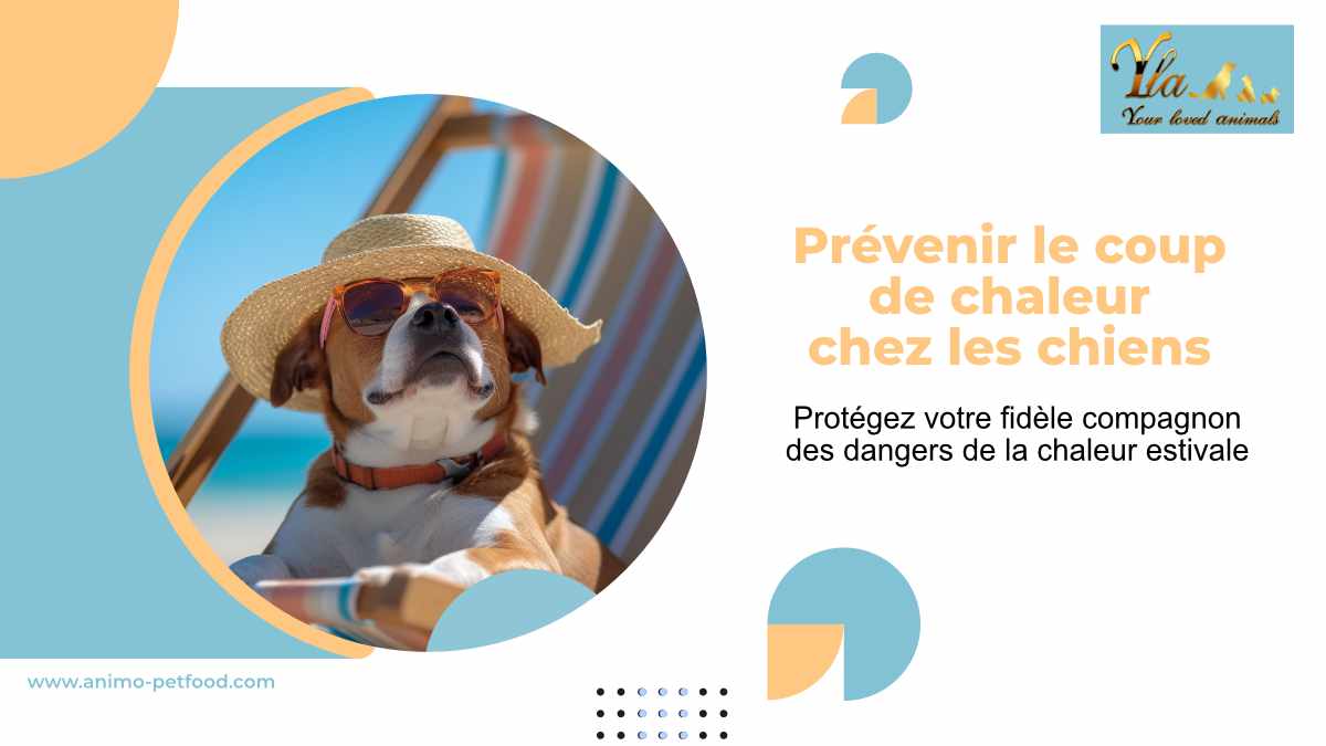 prevenir-le-coup-de-chaleur-chez-votre-chien